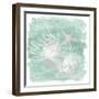 Weathered Shell Assortment I-June Vess-Framed Art Print