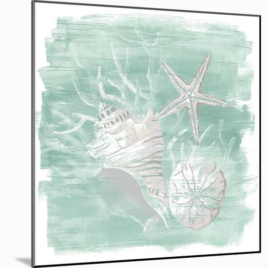 Weathered Shell Assortment I-June Vess-Mounted Art Print