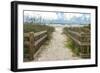 Weathered Walk-Mary Lou Johnson-Framed Art Print