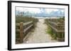 Weathered Walk-Mary Lou Johnson-Framed Art Print