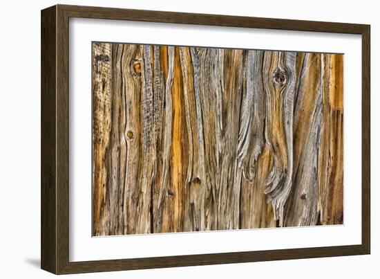 Weathered Wall II-Kathy Mahan-Framed Photographic Print