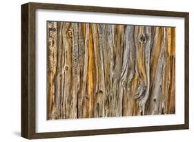 Weathered Wall II-Kathy Mahan-Framed Photographic Print