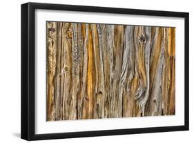 Weathered Wall II-Kathy Mahan-Framed Photographic Print