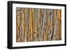 Weathered Wall II-Kathy Mahan-Framed Photographic Print