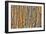 Weathered Wall II-Kathy Mahan-Framed Photographic Print