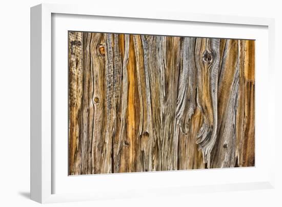 Weathered Wall II-Kathy Mahan-Framed Photographic Print