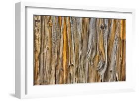 Weathered Wall II-Kathy Mahan-Framed Photographic Print