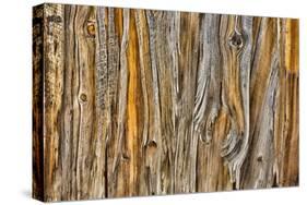 Weathered Wall II-Kathy Mahan-Stretched Canvas