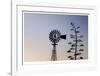 Weathered Windmill-Donald Paulson-Framed Giclee Print