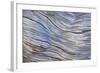 Weathered Wood III-Kathy Mahan-Framed Photographic Print