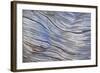 Weathered Wood III-Kathy Mahan-Framed Photographic Print