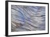 Weathered Wood III-Kathy Mahan-Framed Photographic Print