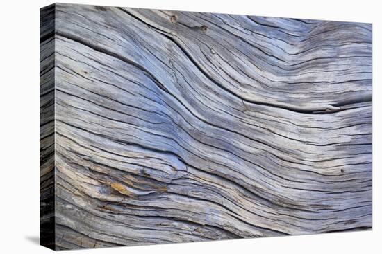 Weathered Wood III-Kathy Mahan-Stretched Canvas