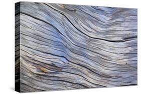 Weathered Wood III-Kathy Mahan-Stretched Canvas