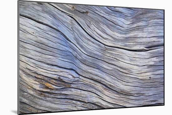 Weathered Wood III-Kathy Mahan-Mounted Photographic Print