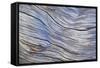 Weathered Wood III-Kathy Mahan-Framed Stretched Canvas