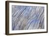 Weathered Wood IV-Kathy Mahan-Framed Photographic Print