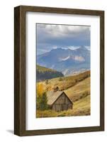 Weathered Wooden Barn Near Telluride in the Uncompahgre National Forest, Colorado, Usa-Chuck Haney-Framed Photographic Print