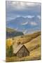 Weathered Wooden Barn Near Telluride in the Uncompahgre National Forest, Colorado, Usa-Chuck Haney-Mounted Photographic Print