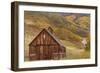 Weathered Wooden Barn Near Telluride in the Uncompahgre National Forest, Colorado, Usa-Chuck Haney-Framed Photographic Print