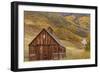 Weathered Wooden Barn Near Telluride in the Uncompahgre National Forest, Colorado, Usa-Chuck Haney-Framed Photographic Print