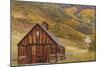 Weathered Wooden Barn Near Telluride in the Uncompahgre National Forest, Colorado, Usa-Chuck Haney-Mounted Photographic Print