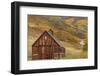 Weathered Wooden Barn Near Telluride in the Uncompahgre National Forest, Colorado, Usa-Chuck Haney-Framed Photographic Print