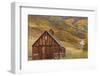 Weathered Wooden Barn Near Telluride in the Uncompahgre National Forest, Colorado, Usa-Chuck Haney-Framed Photographic Print