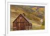 Weathered Wooden Barn Near Telluride in the Uncompahgre National Forest, Colorado, Usa-Chuck Haney-Framed Photographic Print