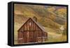 Weathered Wooden Barn Near Telluride in the Uncompahgre National Forest, Colorado, Usa-Chuck Haney-Framed Stretched Canvas