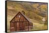 Weathered Wooden Barn Near Telluride in the Uncompahgre National Forest, Colorado, Usa-Chuck Haney-Framed Stretched Canvas