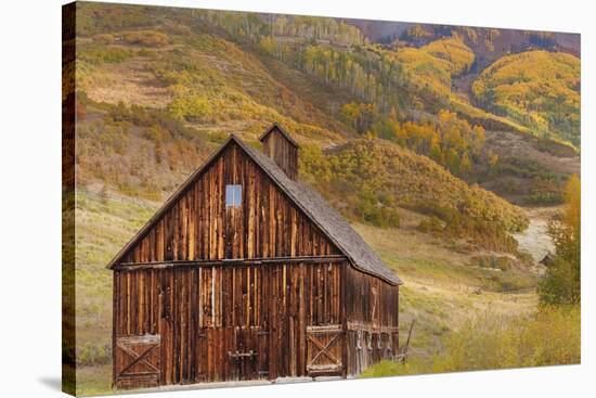 Weathered Wooden Barn Near Telluride in the Uncompahgre National Forest, Colorado, Usa-Chuck Haney-Stretched Canvas