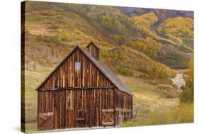 Weathered Wooden Barn Near Telluride in the Uncompahgre National Forest, Colorado, Usa-Chuck Haney-Stretched Canvas