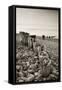 Weathered Wooden Groyne on Bossington Beach at Sunset, Exmoor National Park, Somerset-Adam Burton-Framed Stretched Canvas