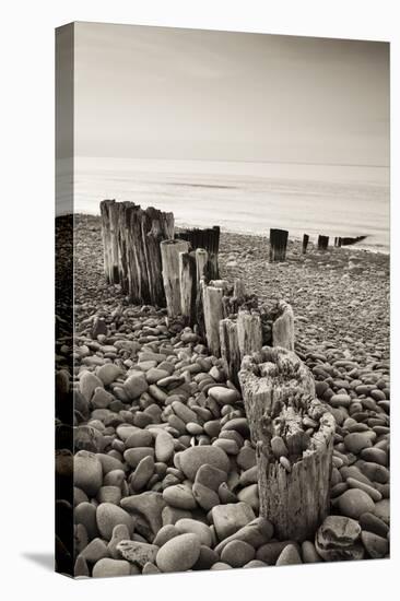 Weathered Wooden Groyne on Bossington Beach at Sunset, Exmoor National Park, Somerset-Adam Burton-Stretched Canvas