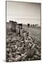 Weathered Wooden Groyne on Bossington Beach at Sunset, Exmoor National Park, Somerset-Adam Burton-Mounted Photographic Print