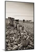 Weathered Wooden Groyne on Bossington Beach at Sunset, Exmoor National Park, Somerset-Adam Burton-Mounted Photographic Print