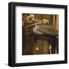 Weathered-Steve Hunziker-Framed Art Print