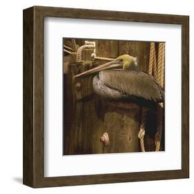 Weathered-Steve Hunziker-Framed Art Print