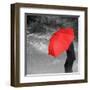 Weathering the Storm-null-Framed Art Print