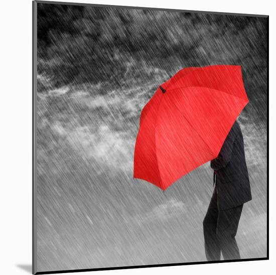 Weathering the Storm-null-Mounted Art Print