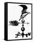 Weathervane, 19th Century-null-Framed Stretched Canvas