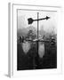 Weathervane and Web-null-Framed Photographic Print