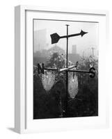 Weathervane and Web-null-Framed Photographic Print