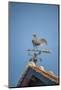 Weathervane, Beuvron en Auge, Normandy, France-Jim Engelbrecht-Mounted Photographic Print