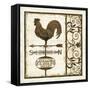 Weathervane Wisdom I-Daphné B.-Framed Stretched Canvas