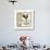 Weathervane Wisdom II-Daphne Brissonnet-Giclee Print displayed on a wall