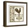 Weathervane Wisdom II-Daphné B-Framed Art Print