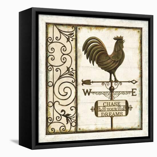 Weathervane Wisdom II-Daphné B.-Framed Stretched Canvas