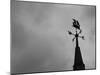 Weathervane-null-Mounted Premium Photographic Print